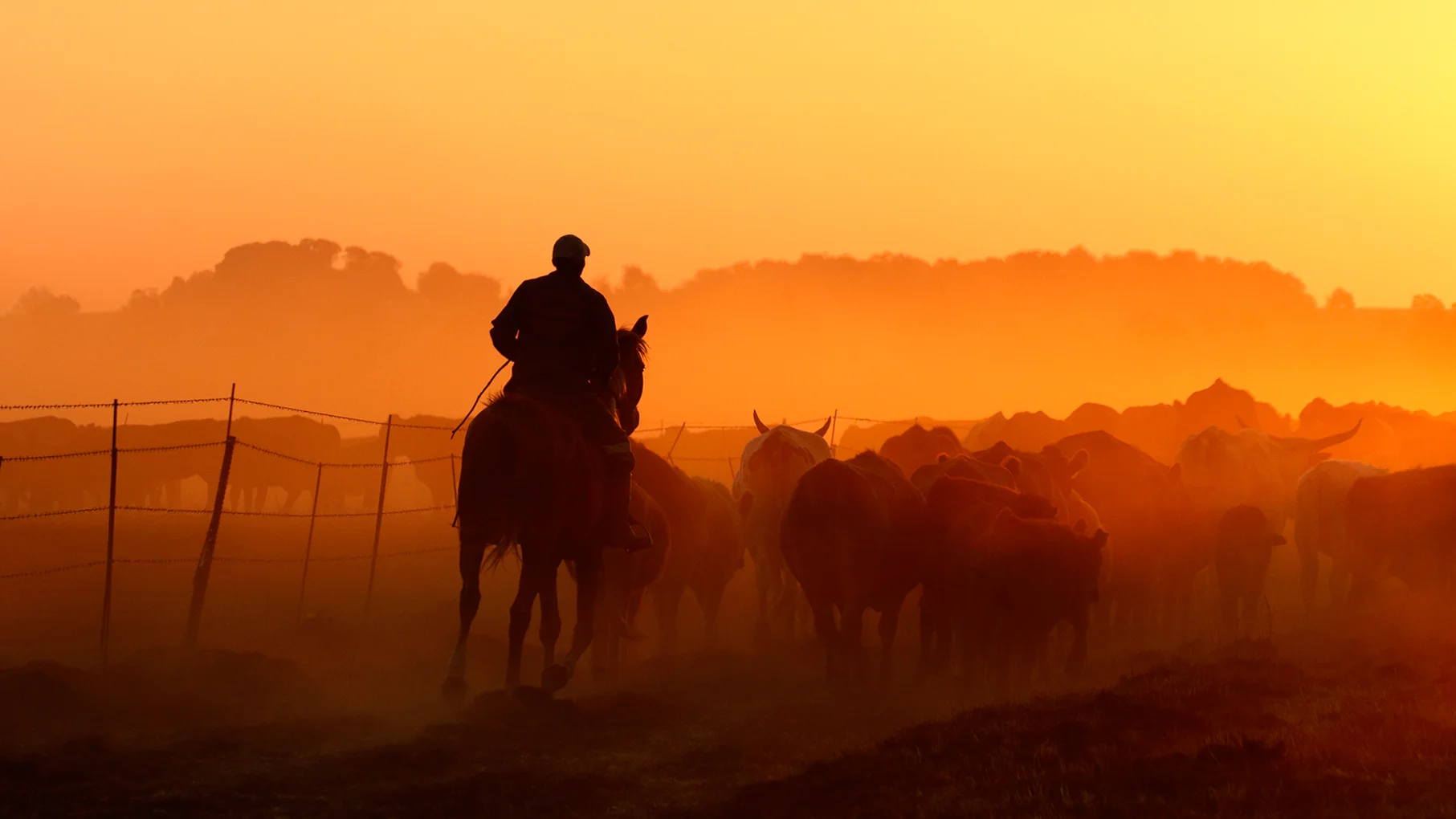 Sundown by Annelie de Beer