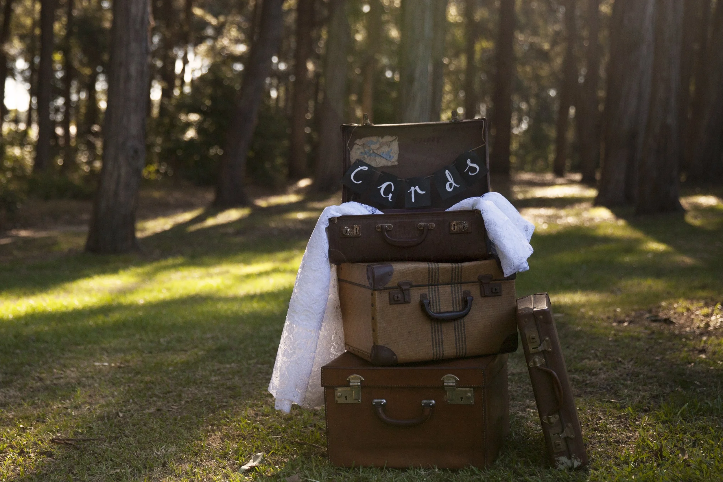 CARD.SUITCASES.jpg