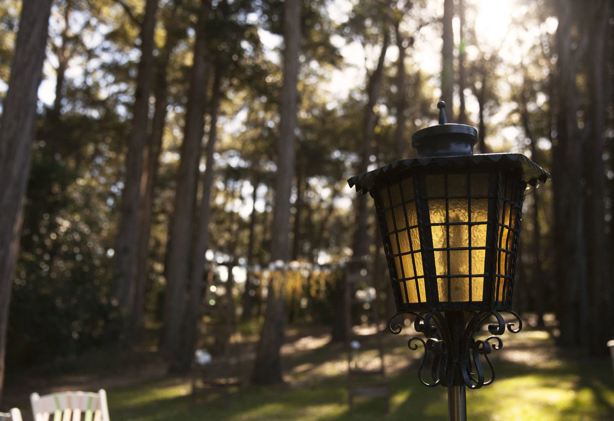 LAMPOST.jpg