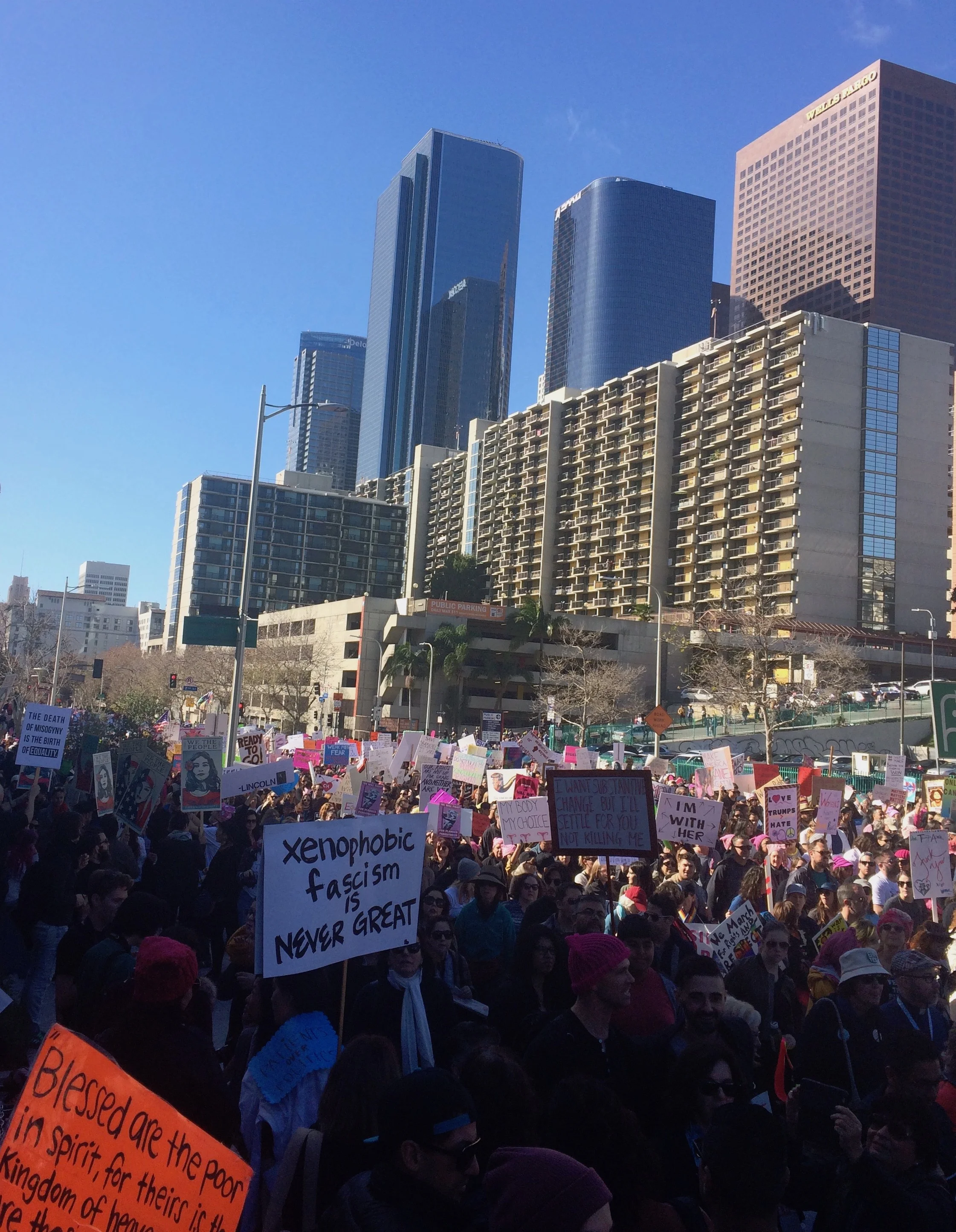 Demonstrators flooded downtown Los Angeles on January 21st. (Photo by Loud Owl)