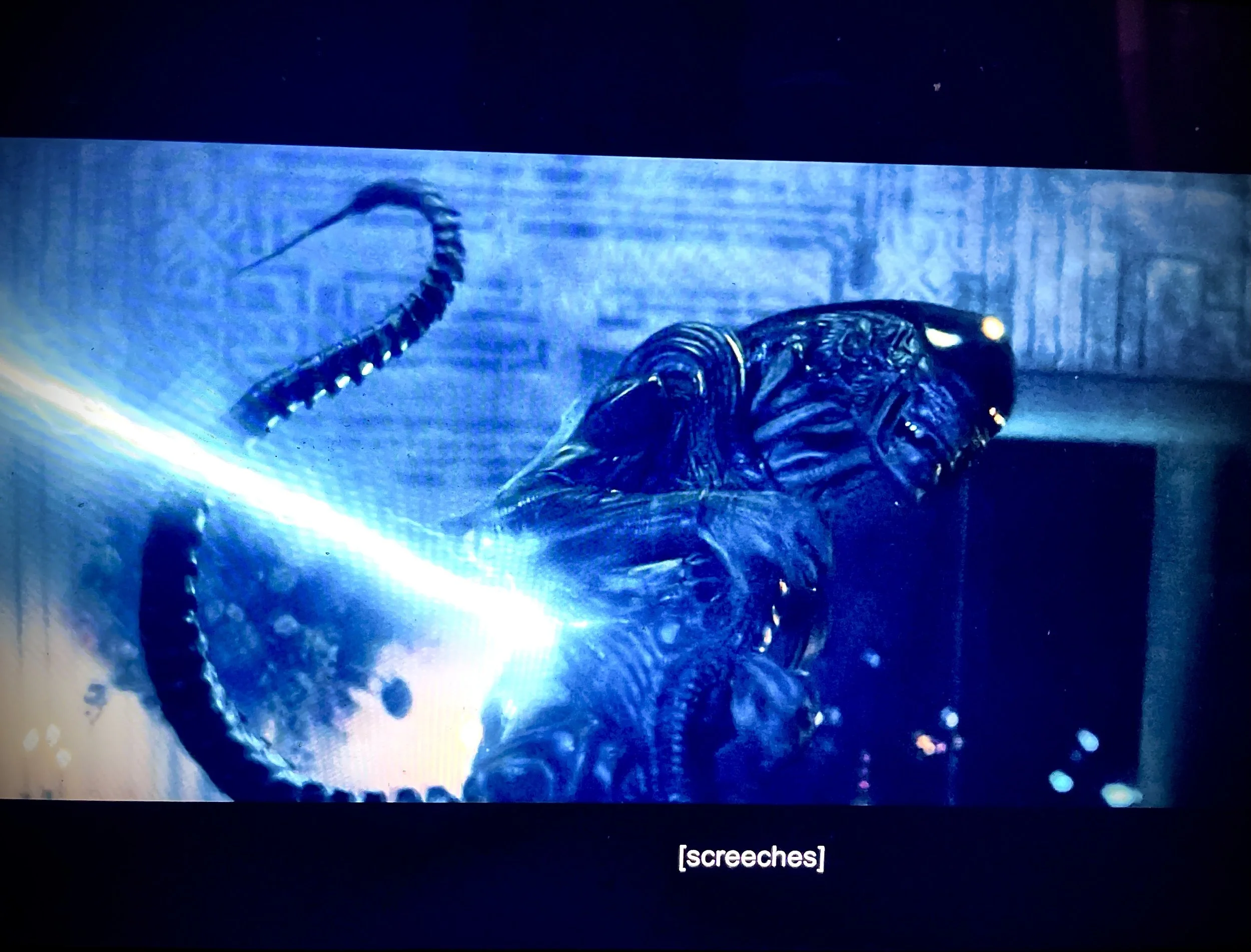 "Alien: Earth" - "Neverland" & "Mr. October"