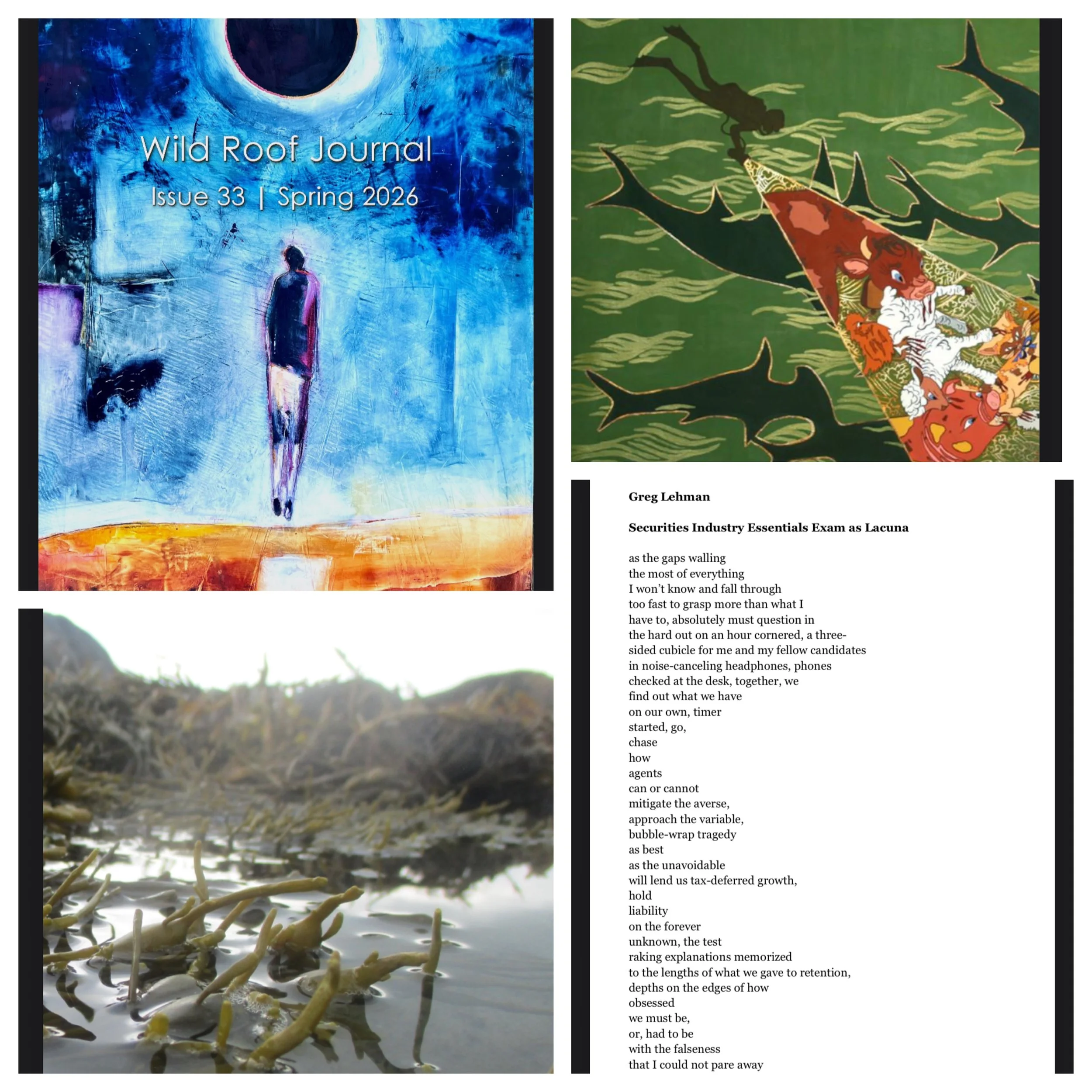 "Securities Industry Essentials Exam as Lacuna" @ Wild Roof Journal Issue #33