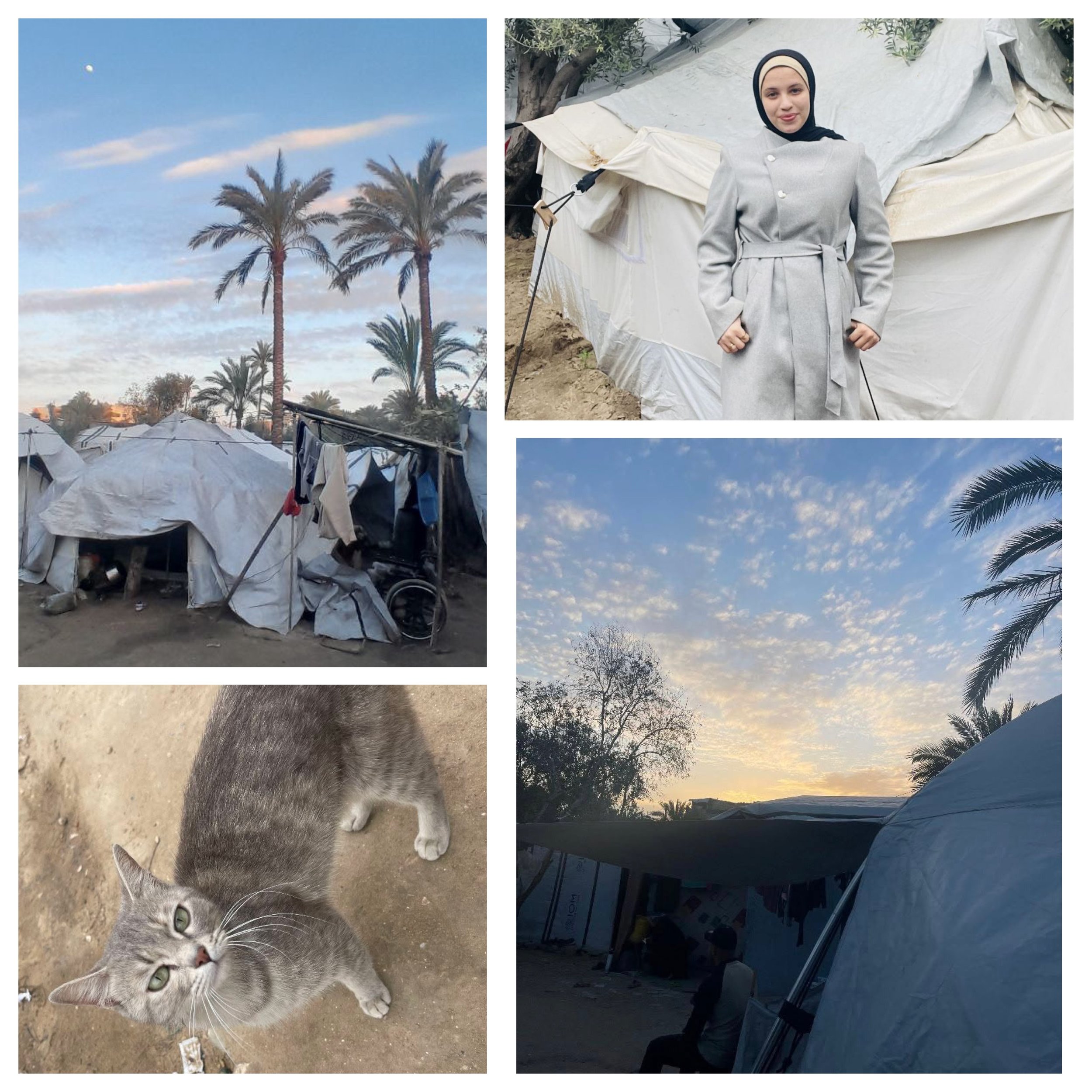 Tasneem Al-Madhoun, 18, psychological counseling student in Deir al-Balah, Gaza Strip, Palestine