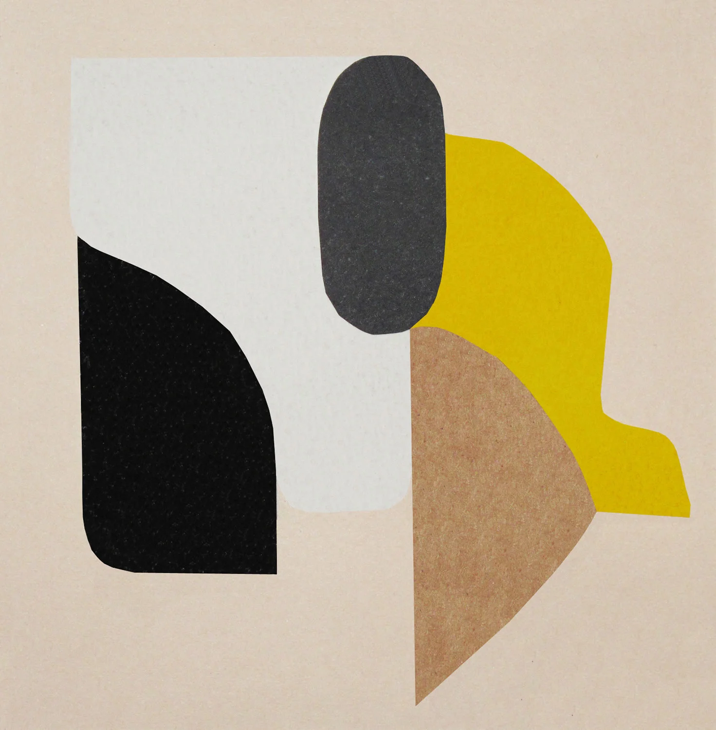 Still Life with Skull by Stephen Ormandy