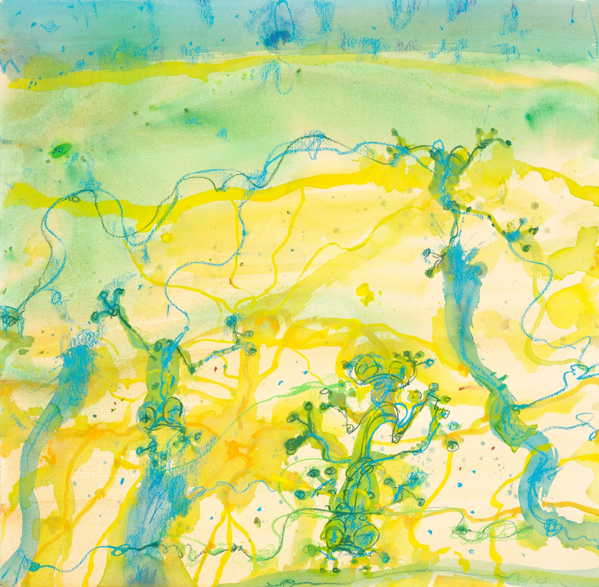 Tree Frogs John Olsen Limited Contemporary Edition Print