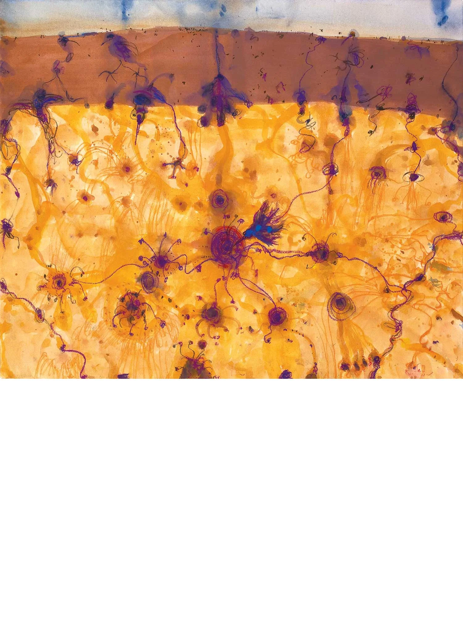 Desert Flowers John Olsen Limited Contemporary Edition Print