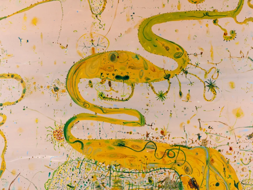 Wetlands by John Olsen Limited Edition Print