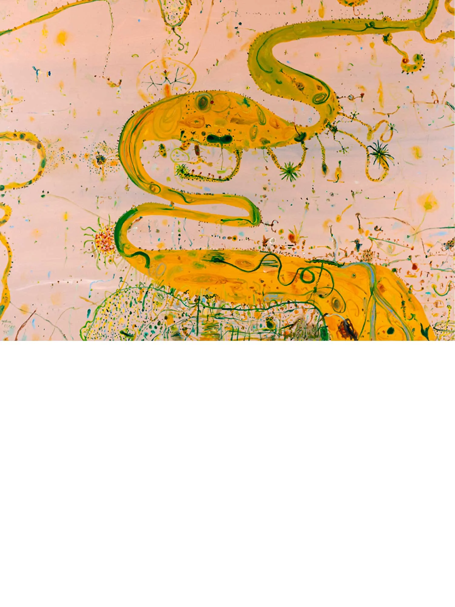 Wetlands by John Olsen Limited Edition Print