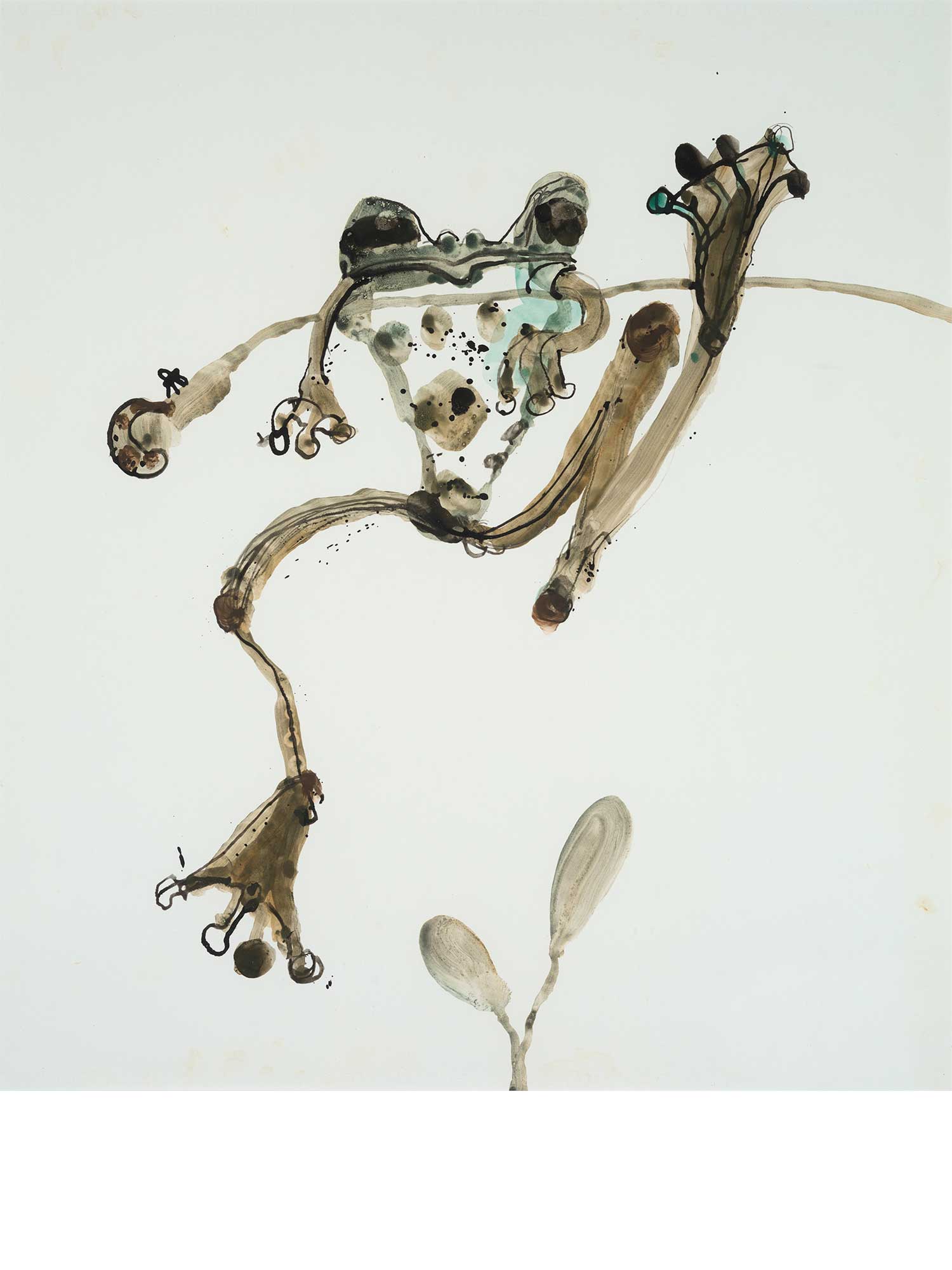 Hanging Tree Frog John Olsen Limited Contemporary Edition Print