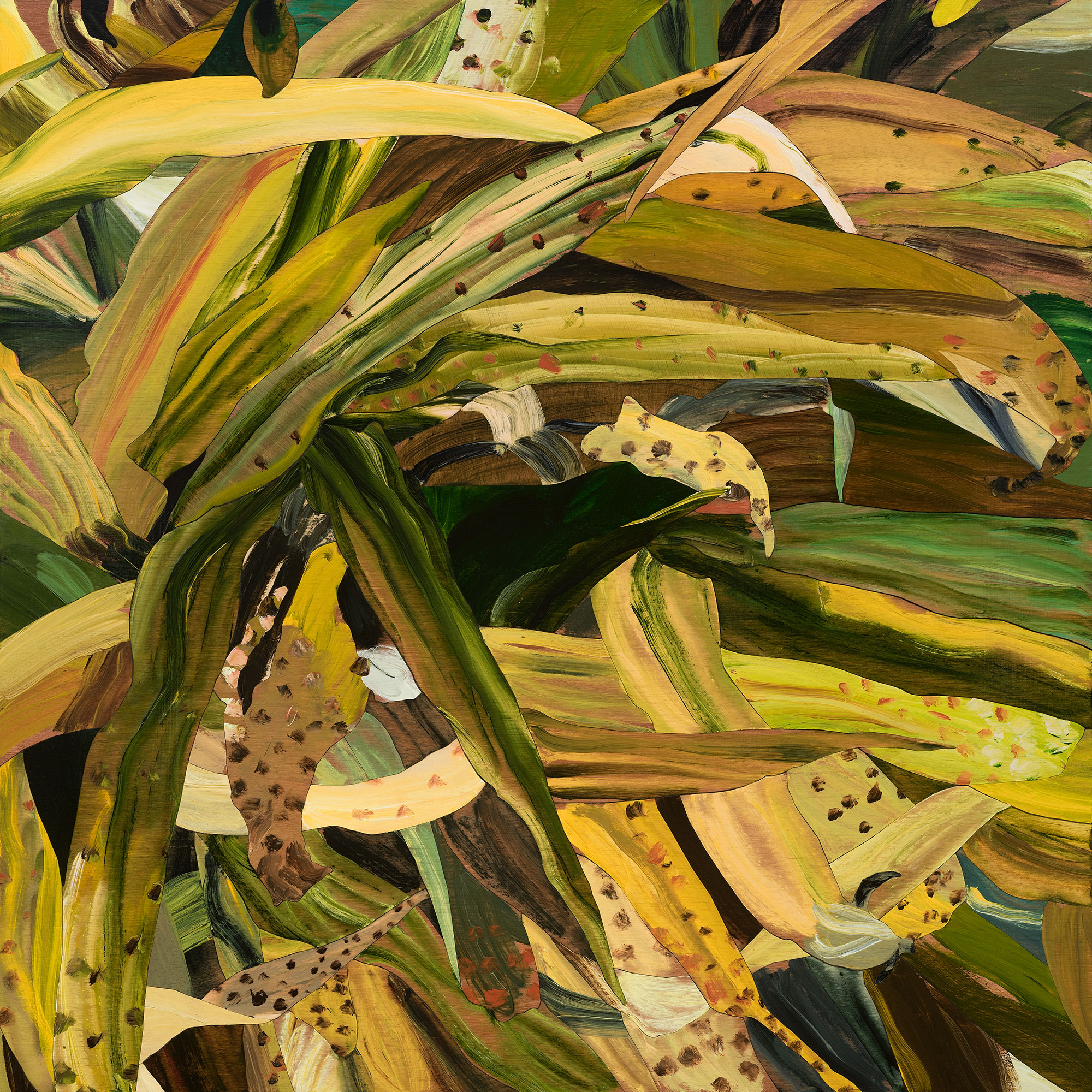 ALAN DANIEL JONES LIMITED Contemporary Limited Edition Prints