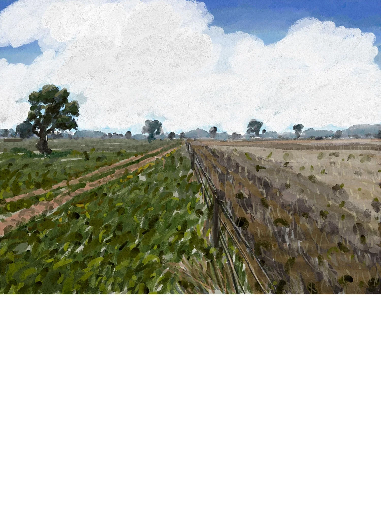 Alan Jones Limited Edition Print Gunnedah