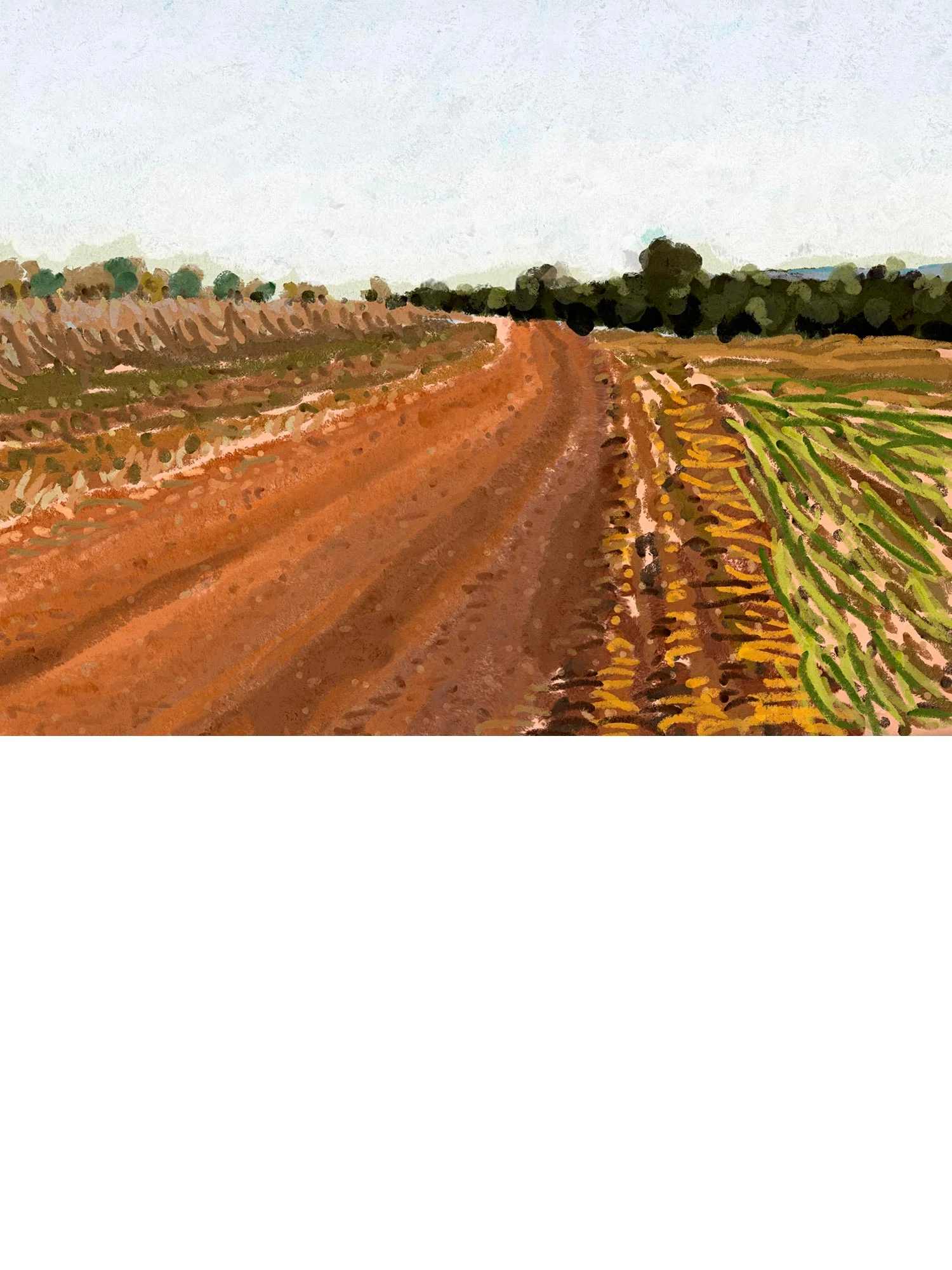 Alan Jones Limited Edition Print Gunnedah