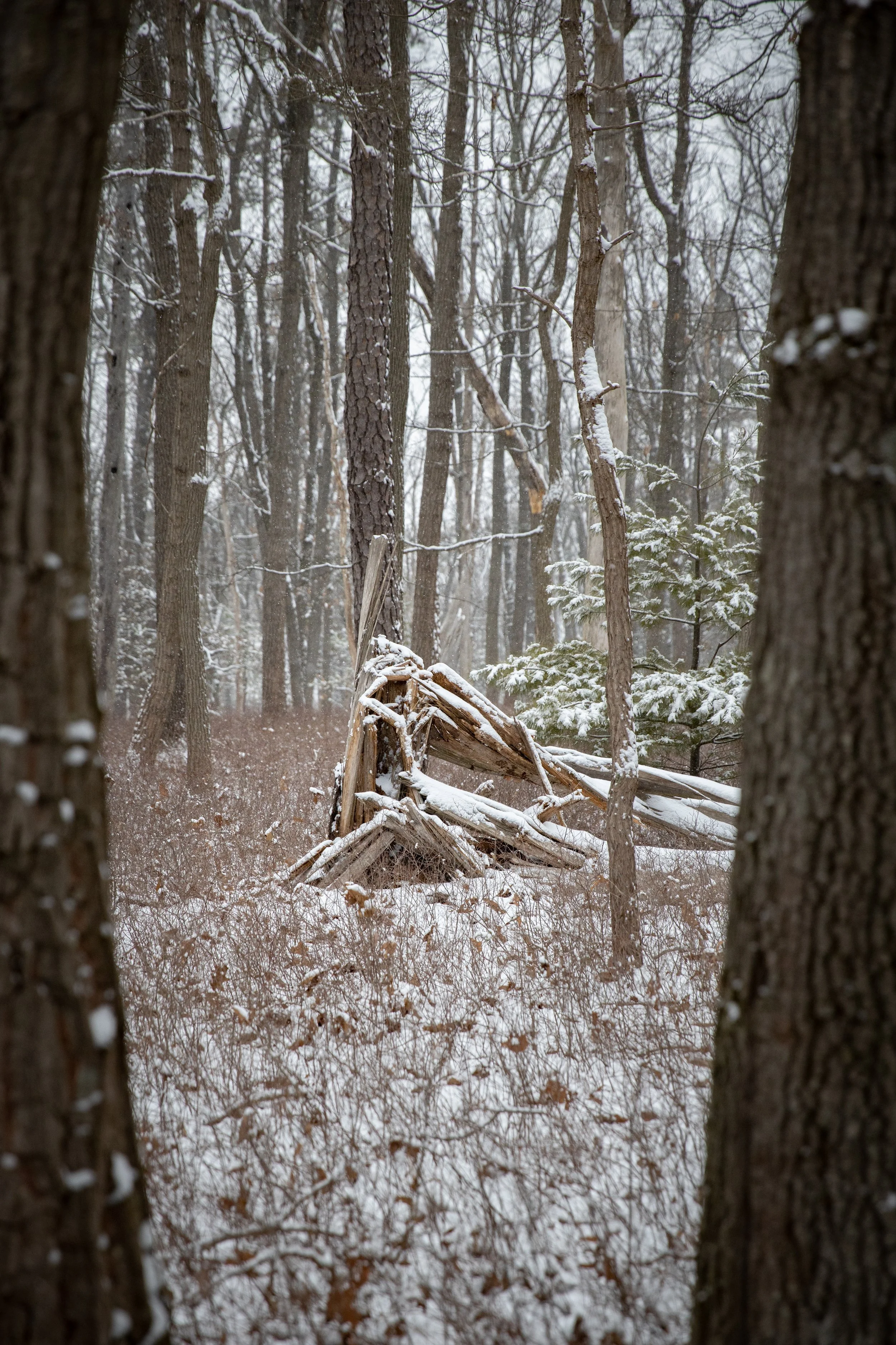 Website Stills-27.jpg