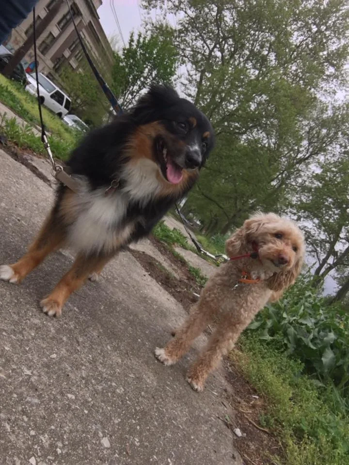 kona and alf.jpg