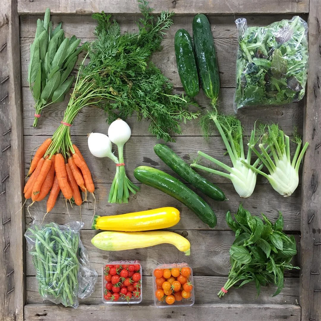 CSA Share 6.jpg
