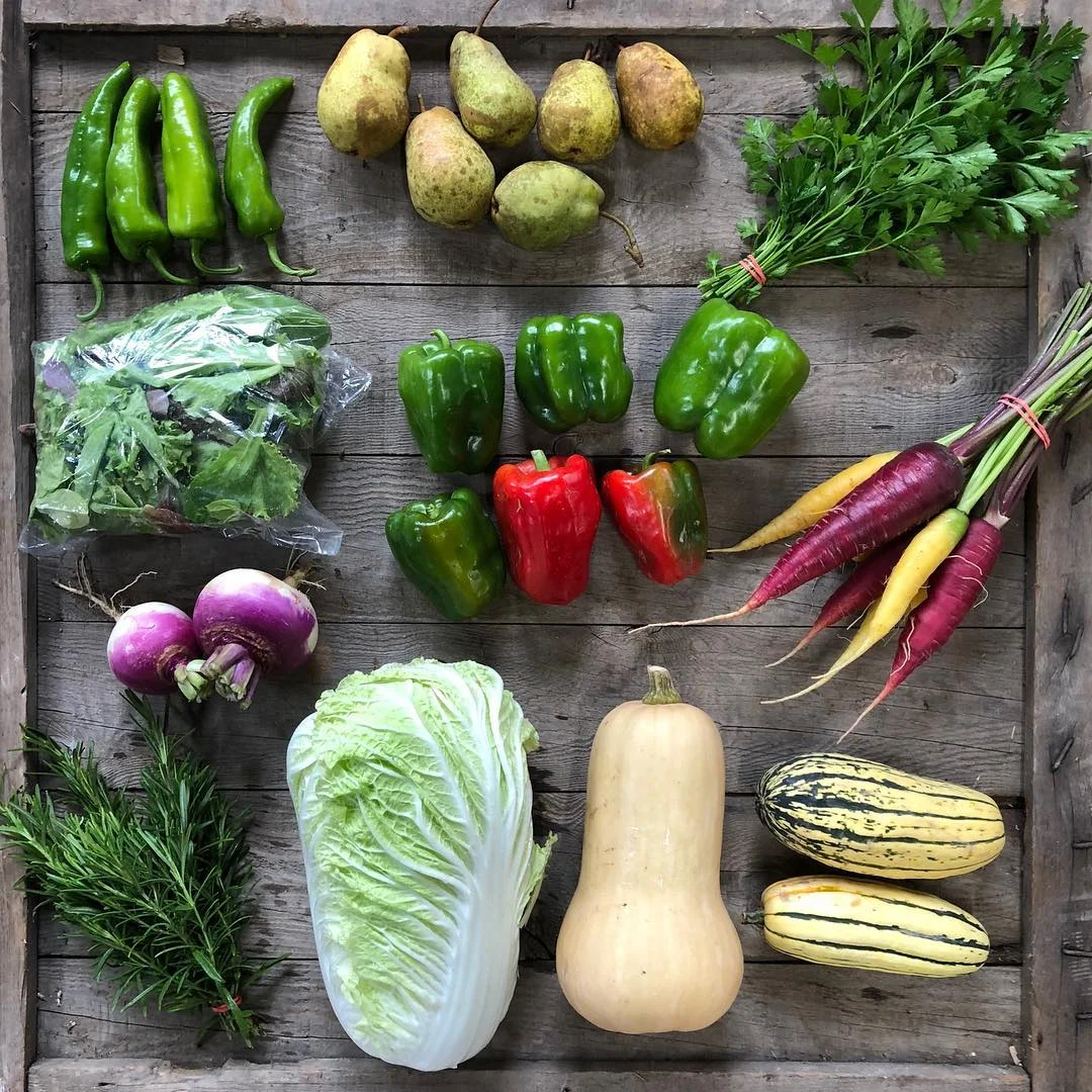 CSA Share 2.jpg