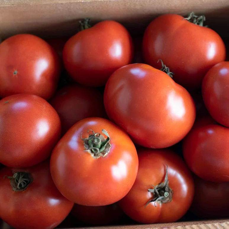 Photo By Johnny’s Selected Seeds