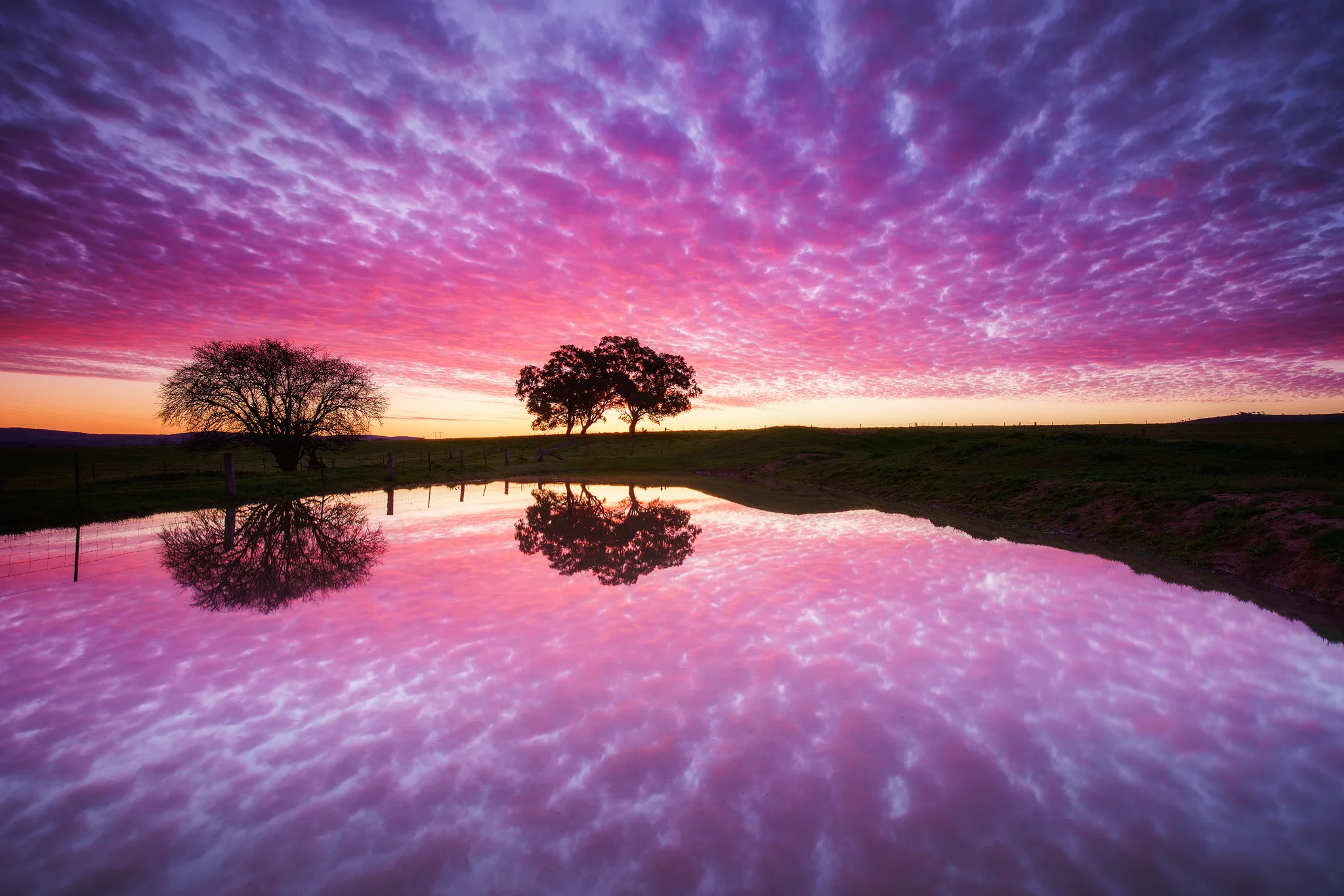 box-grove-reflection.jpg
