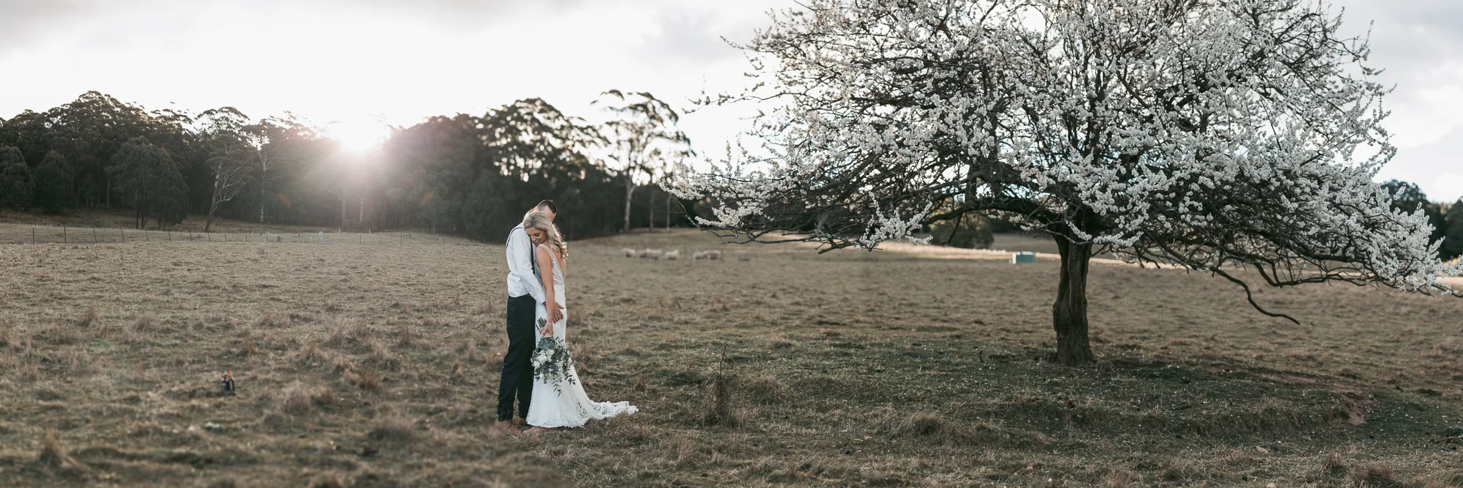 Nicole&Dave_Wedding_ShareMe-515.jpg