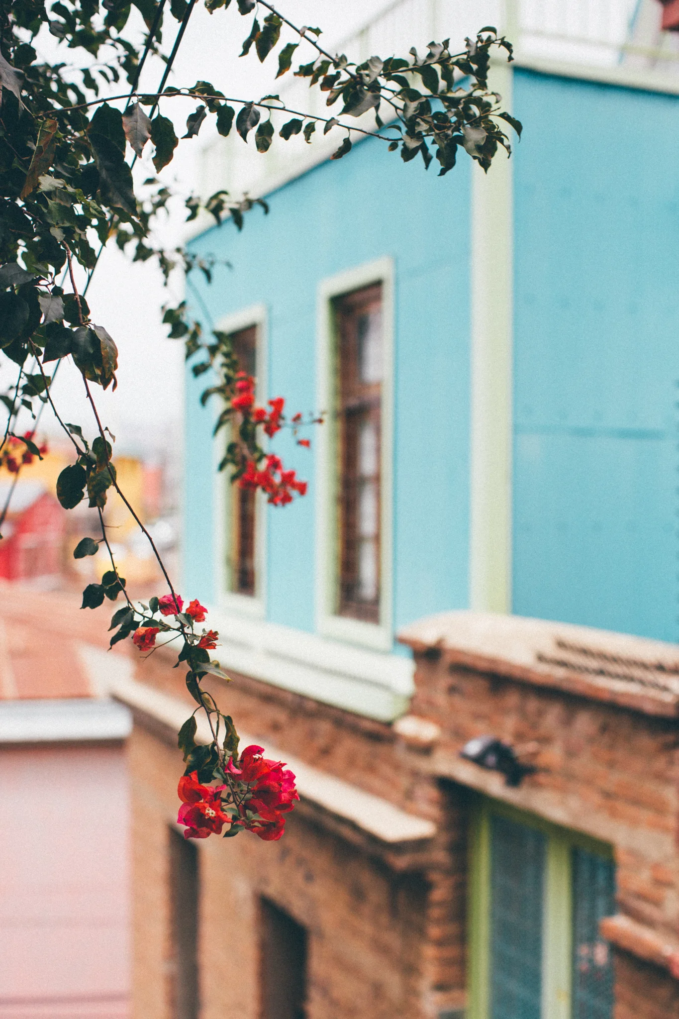 Jennifer Bobe Photography | Los Angeles Lifestyle & Travel Photographer