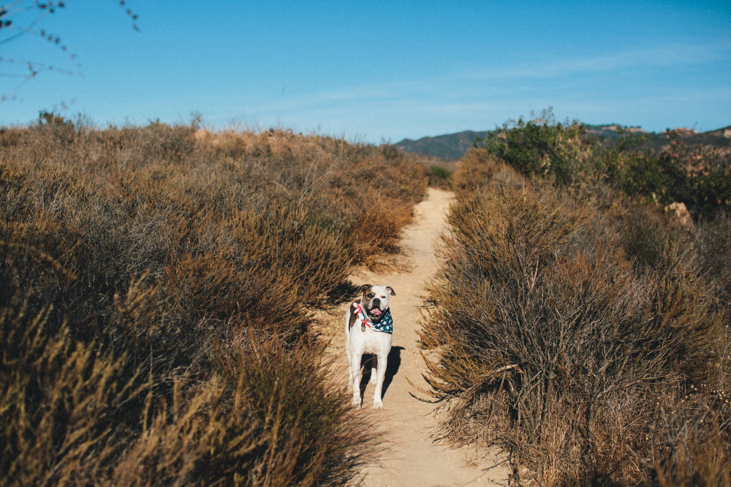 Jennifer Bobe Photography | Los Angeles Lifestyle Photographer