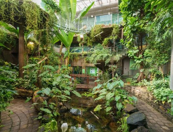 Otago Museums Tropical Forest https://otagomuseum.nz/venues/venue/science-centre