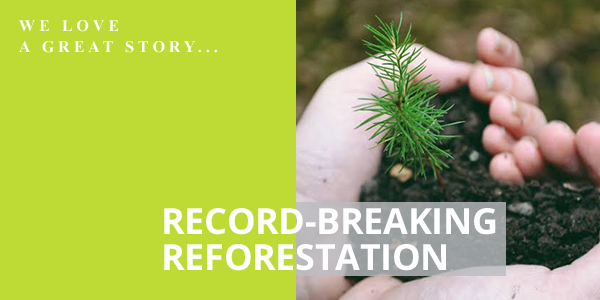 WE LOVE A GREAT STORY, record-breaking reforestation.png