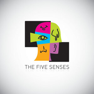 A graphic of the five senses