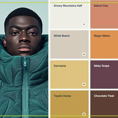 2026 COLOURS OF THE YEAR