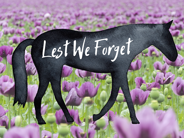 An illustration of a black horse walking with Lest We Forget in text over it, against a background of purple poppies. Print shop West Perth.