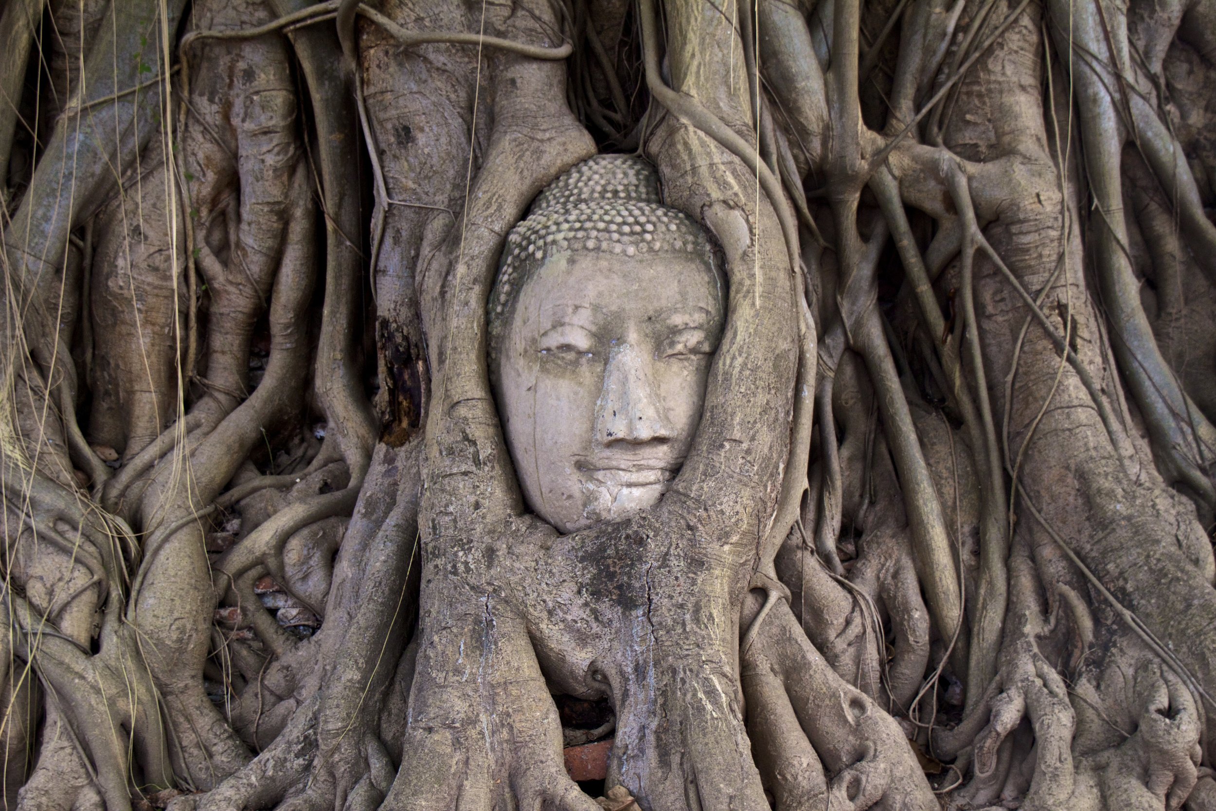ayutthaya ancient siamese city thailand 15.jpg