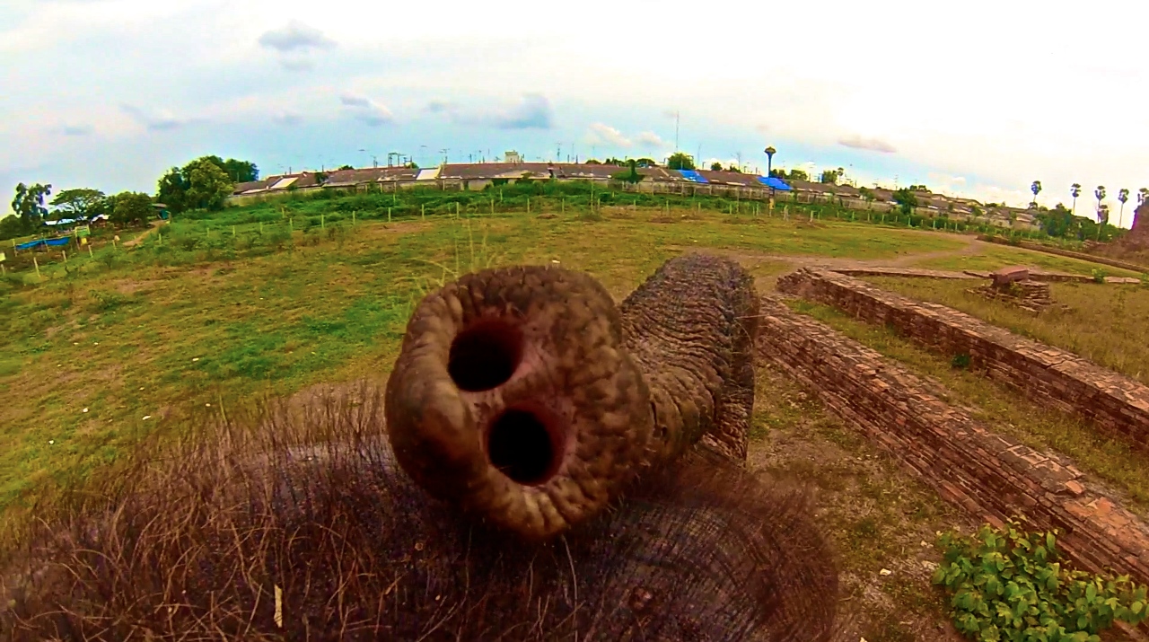 ayutthaya thailand elephant rides 1.jpg