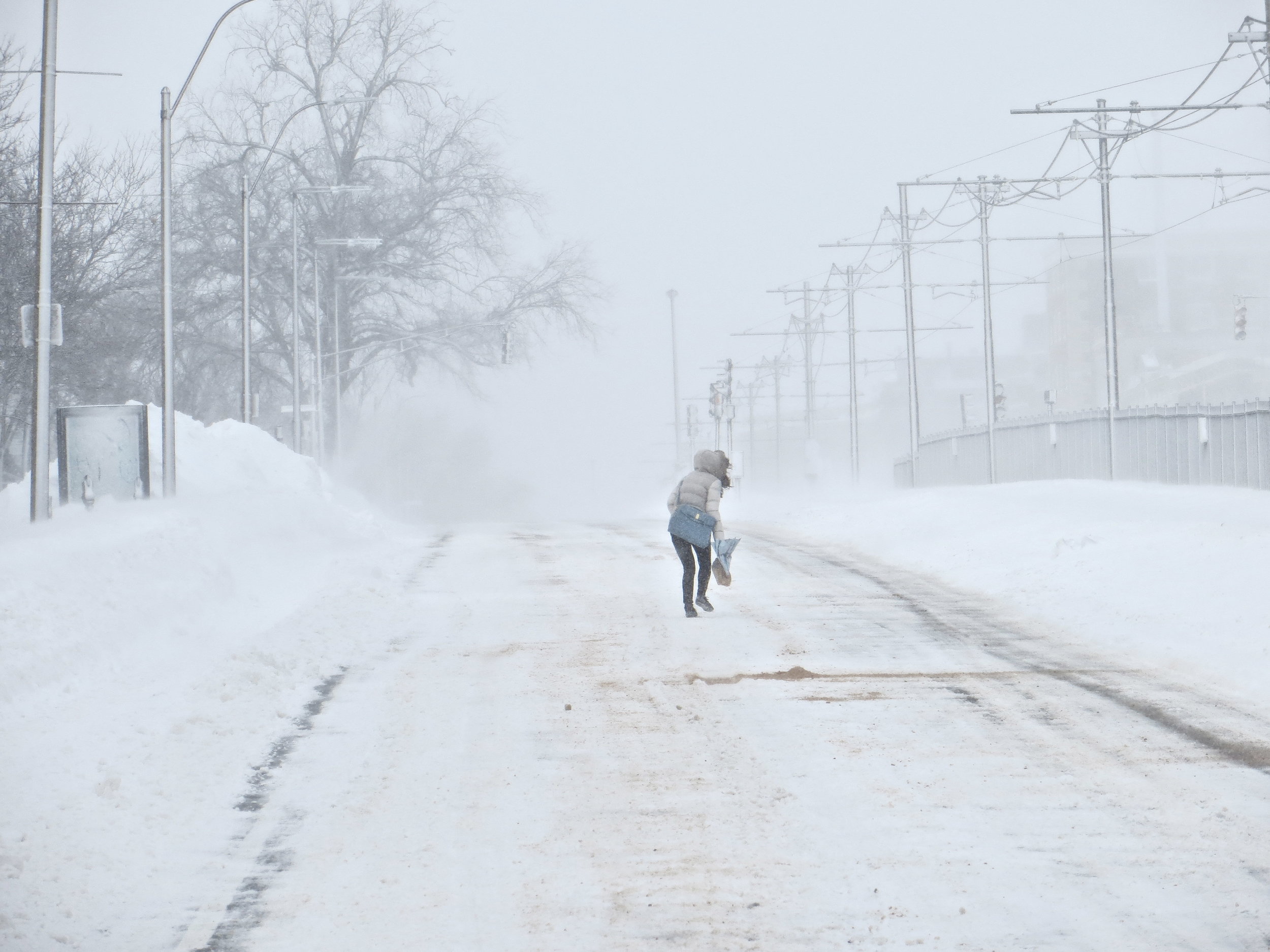boston nemo.JPG