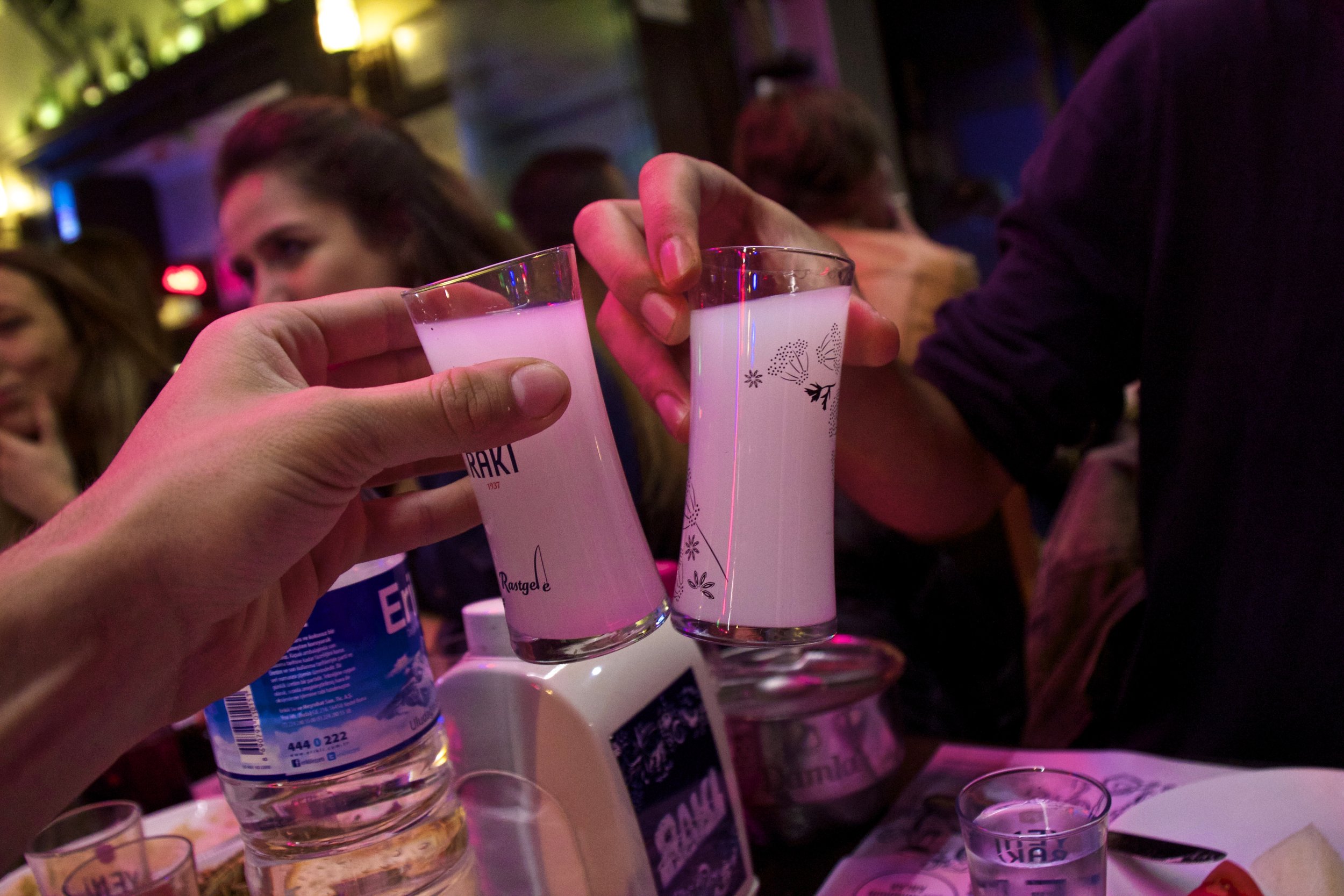 Rakı Night - Learning The Art of a Turkish National Drink