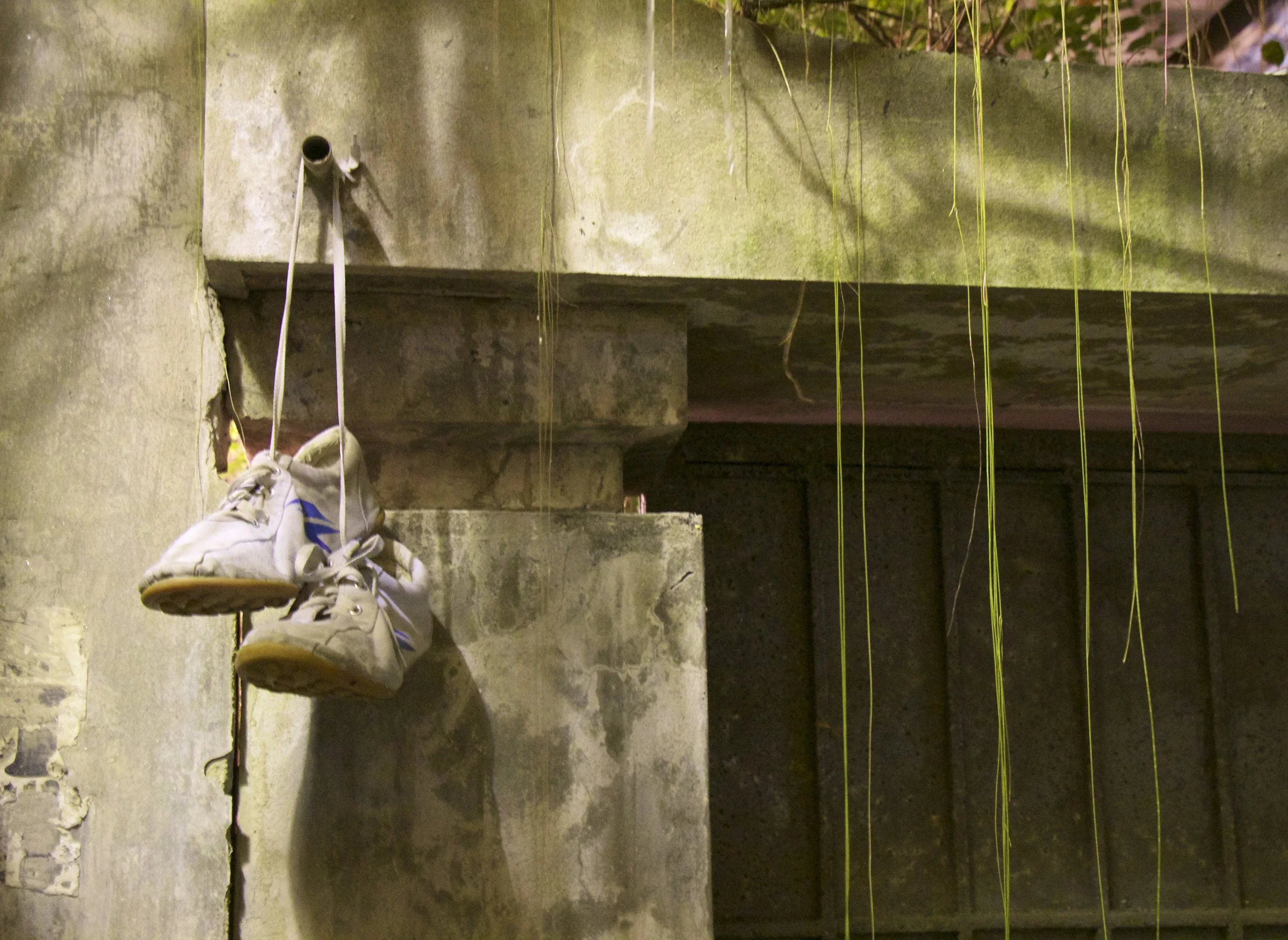 Peter's New Vietnamese House Is The Bomb Dot Com