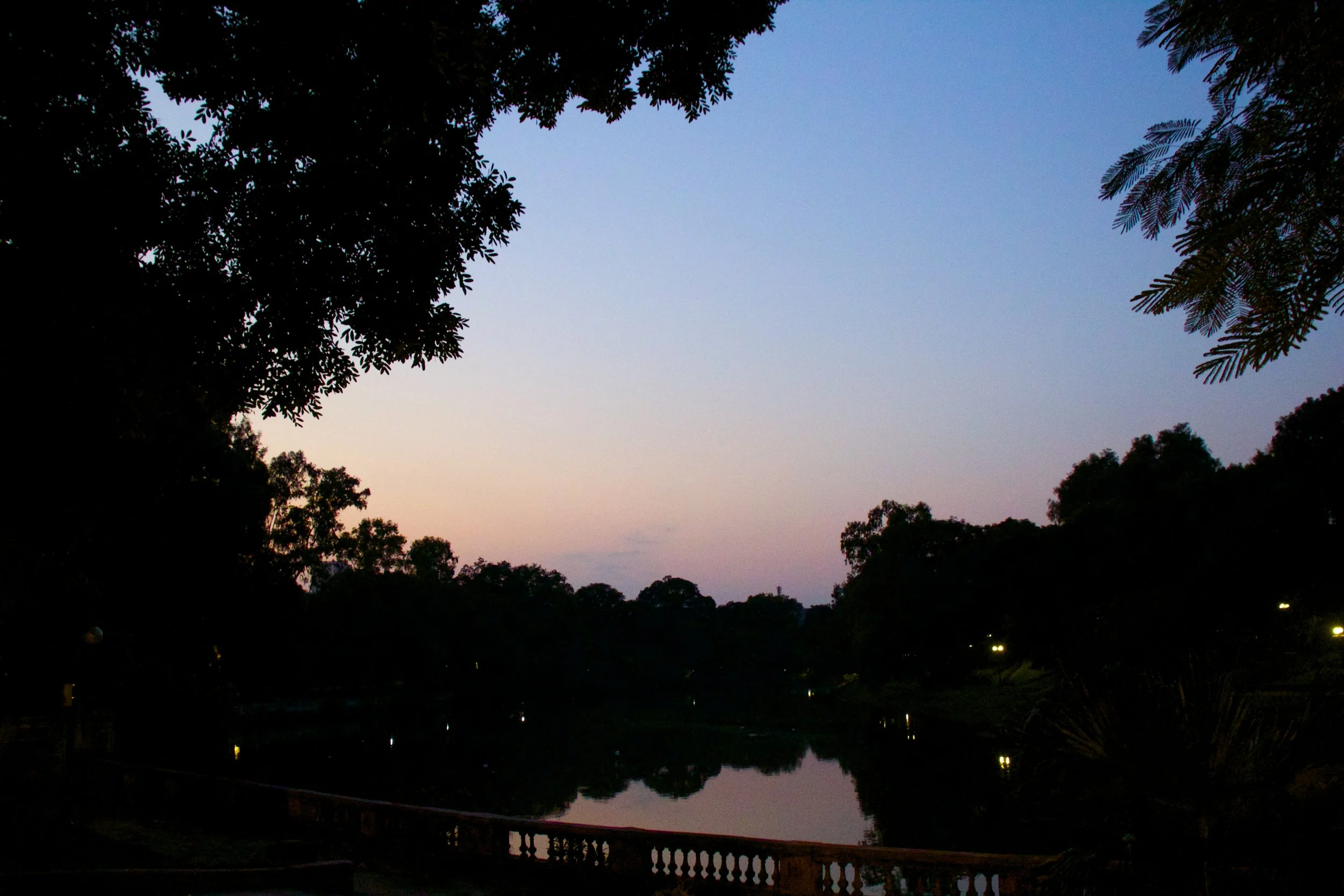 HALLOWEEN POST #2: Peter v. Giant Spider