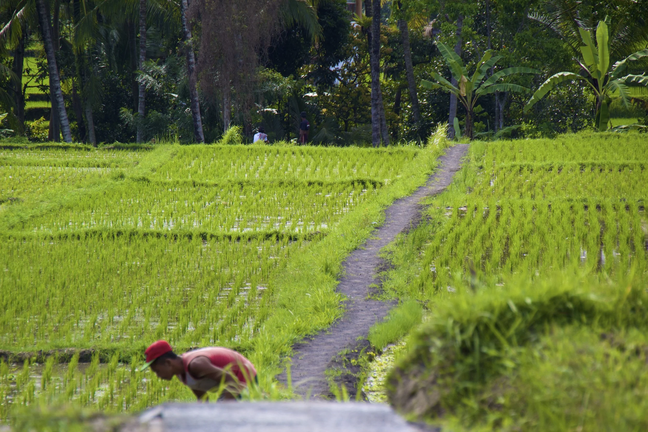 Peter Bribes The Indonesian Police, Twice