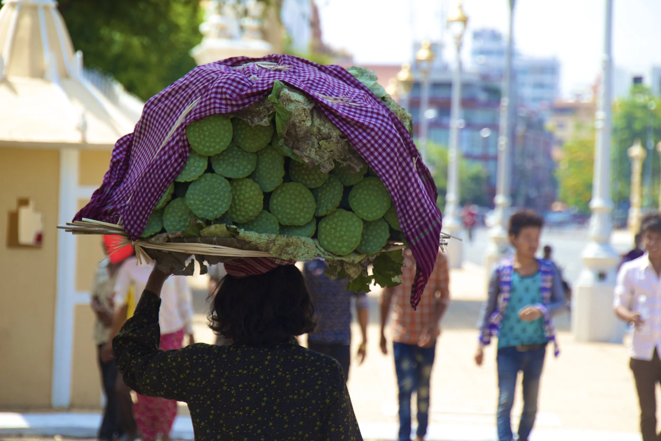 Peter Makes New Friends In Phnom Penh