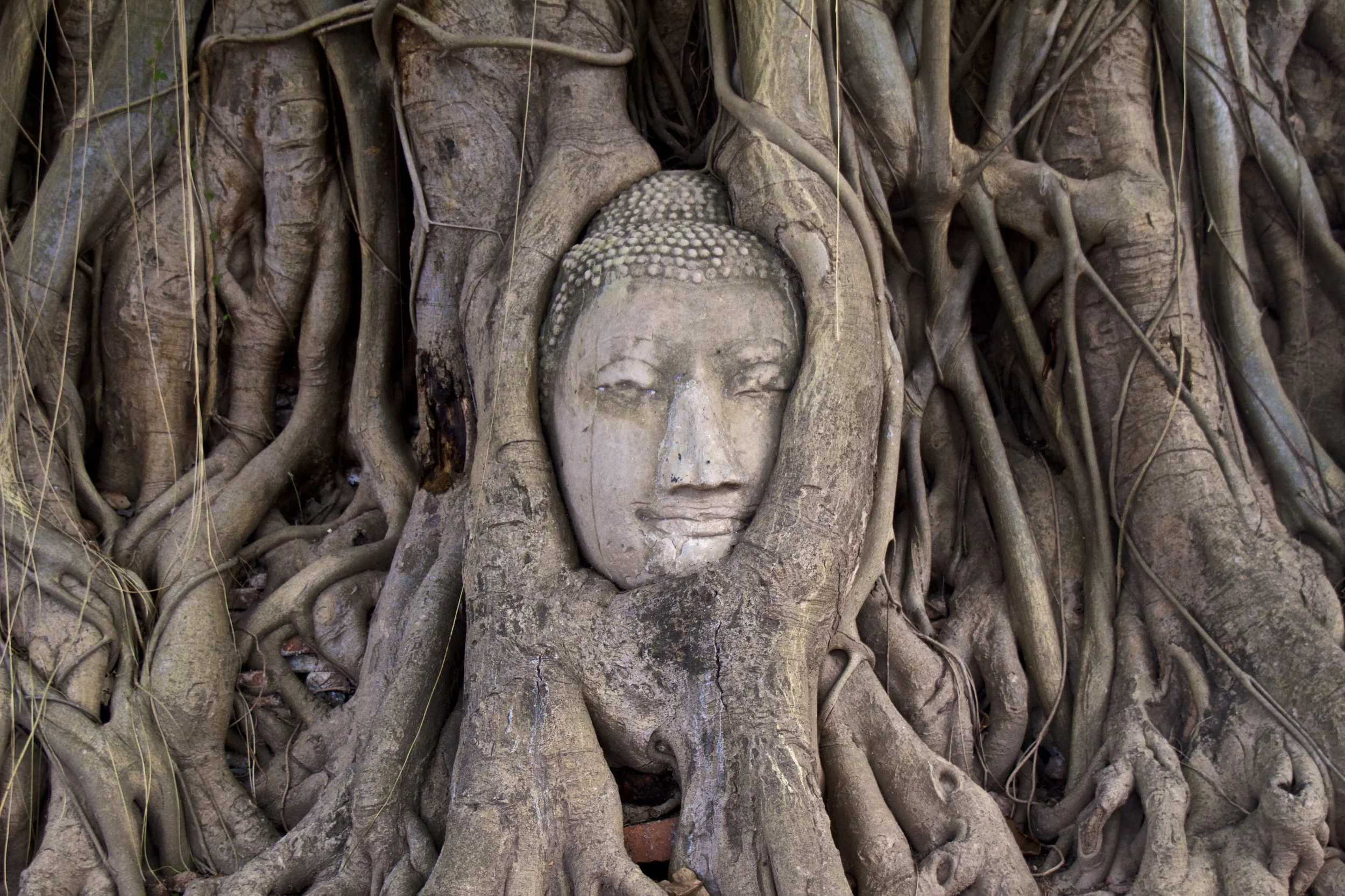 Peter Explores Ayutthaya: Thailand's Lost City