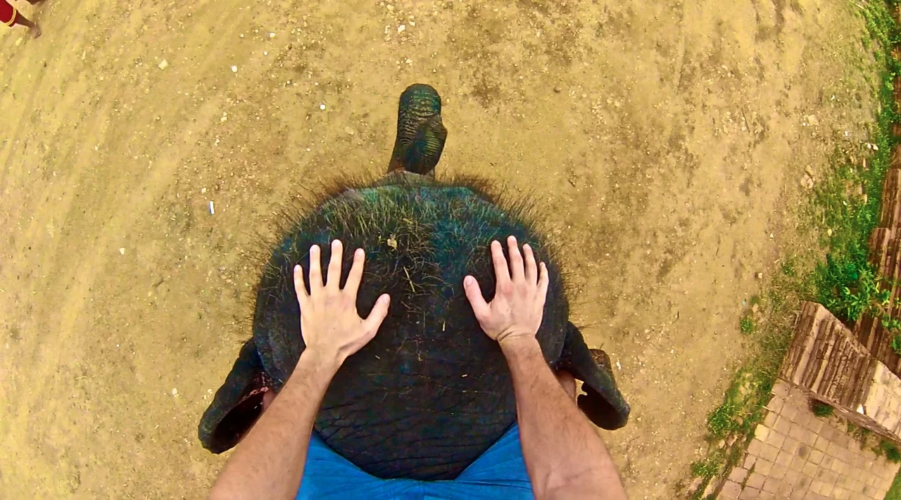 Peter Rides An Elephant Through Traffic