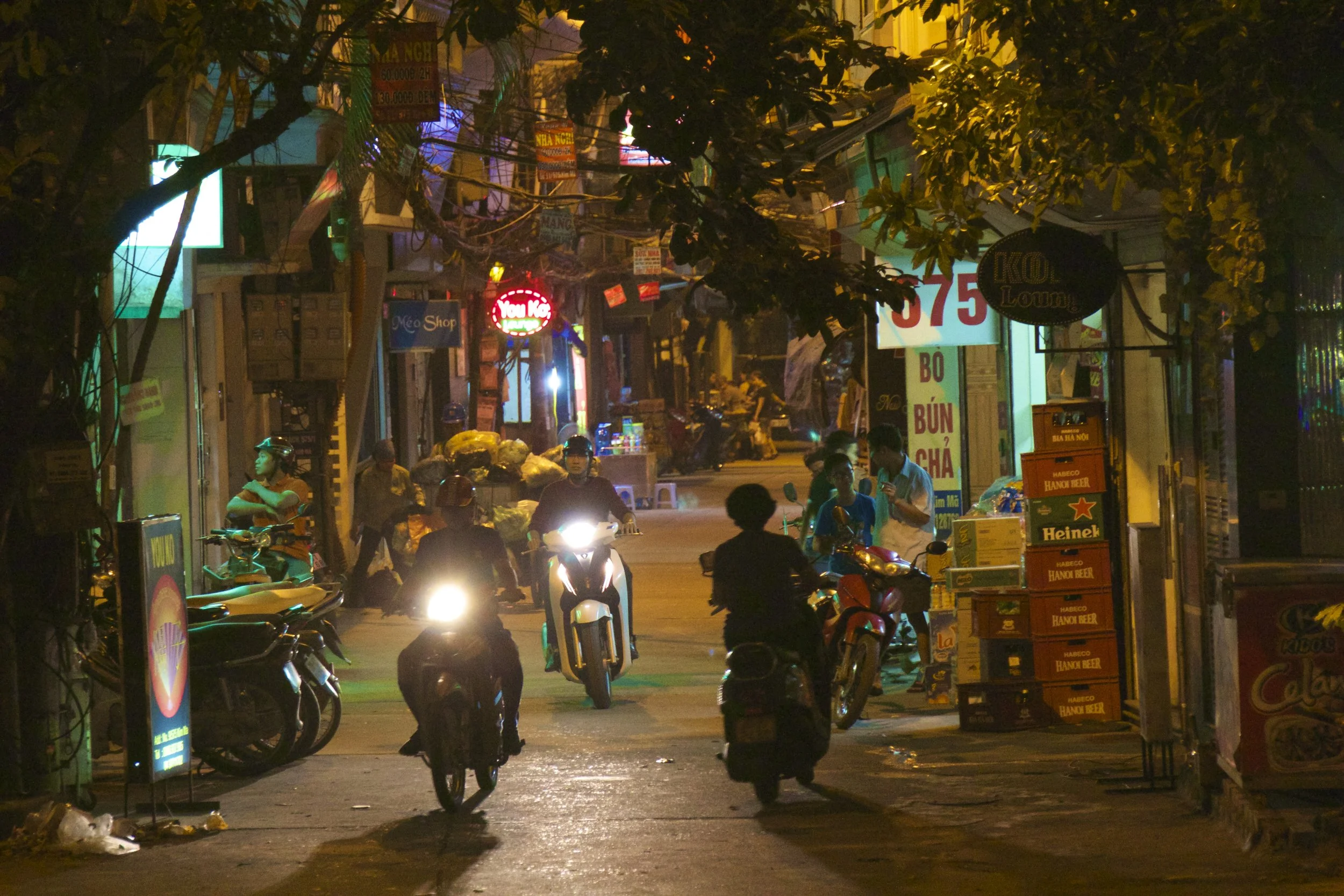 Peter's Field Guide To Living In Hanoi
