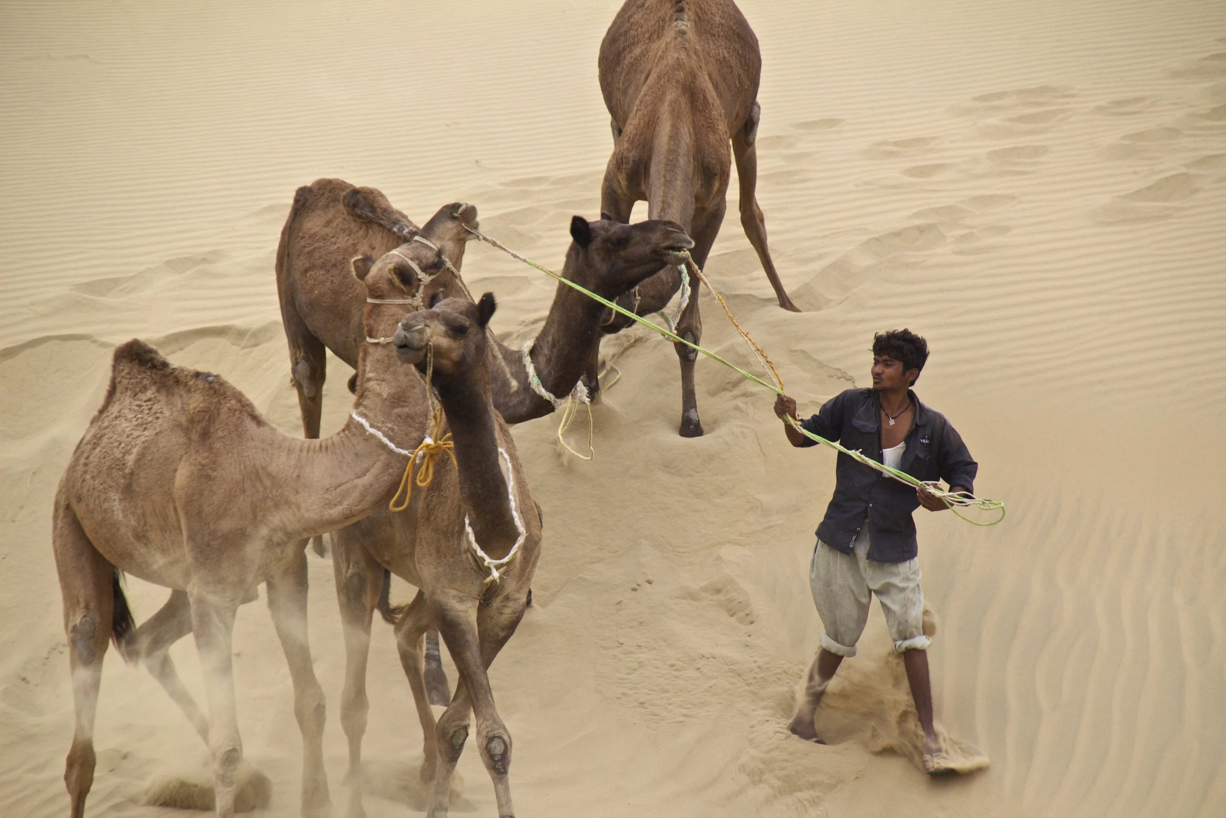 Peter Sleeps Under The Stars In The Dunes Of The Thar Desert (India)