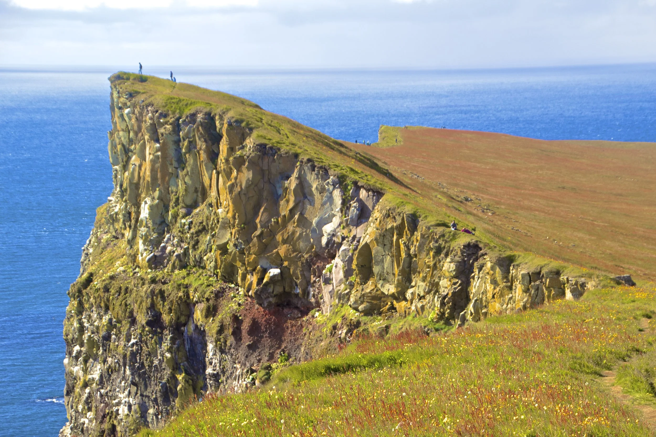 latrabjarg-cliffs-iceland-18