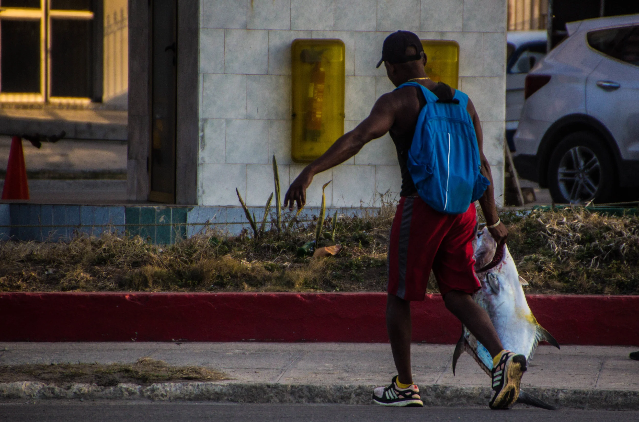 ๐ Havana, Cuba ๐จ๐บ