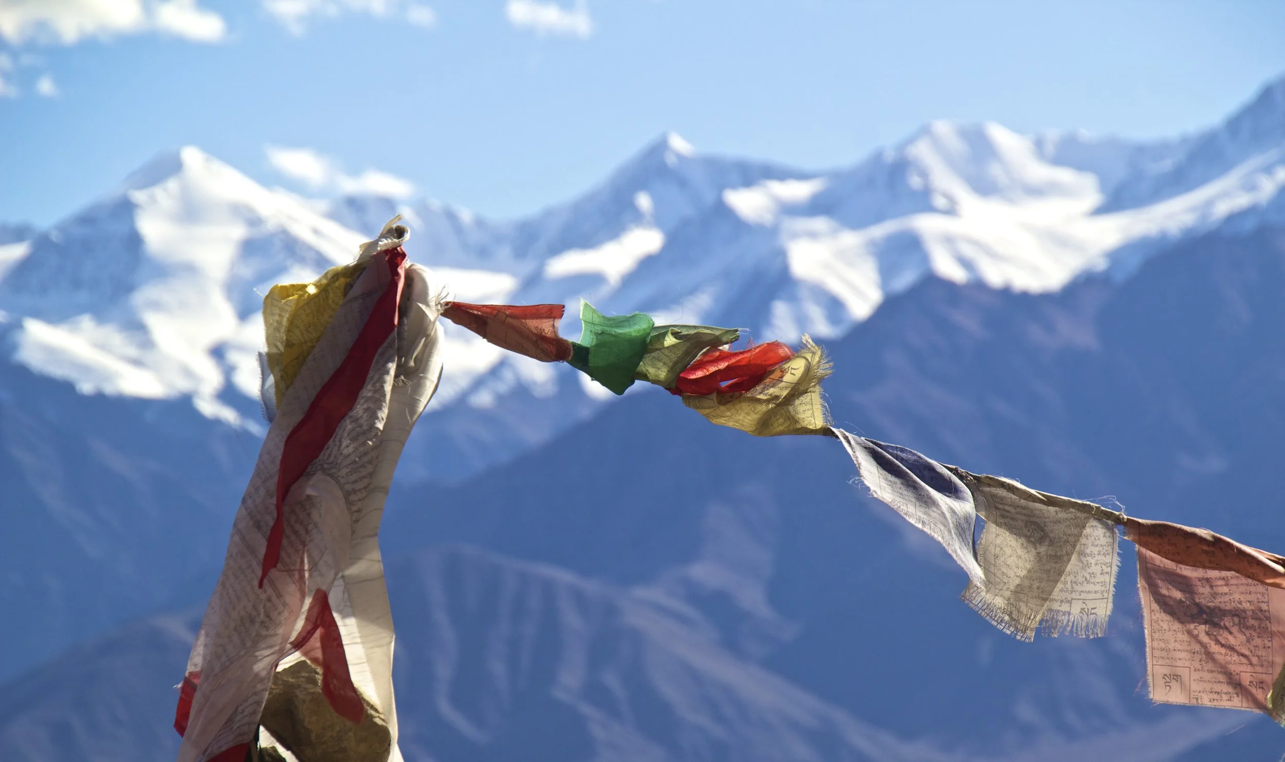 leh india 27.jpg