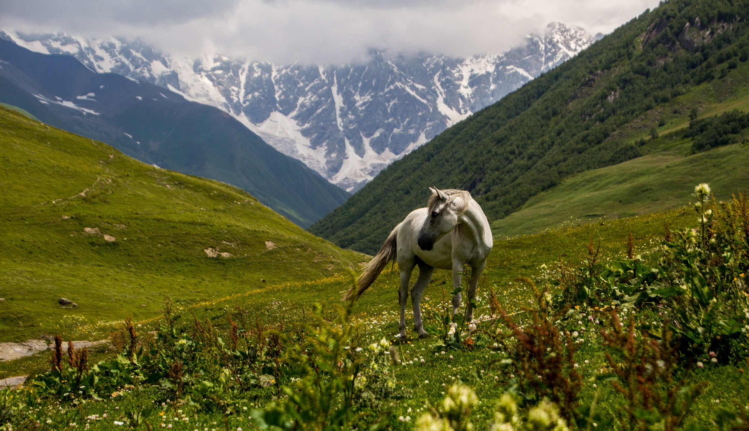 ushguli-svaneti-georgia-23.jpg