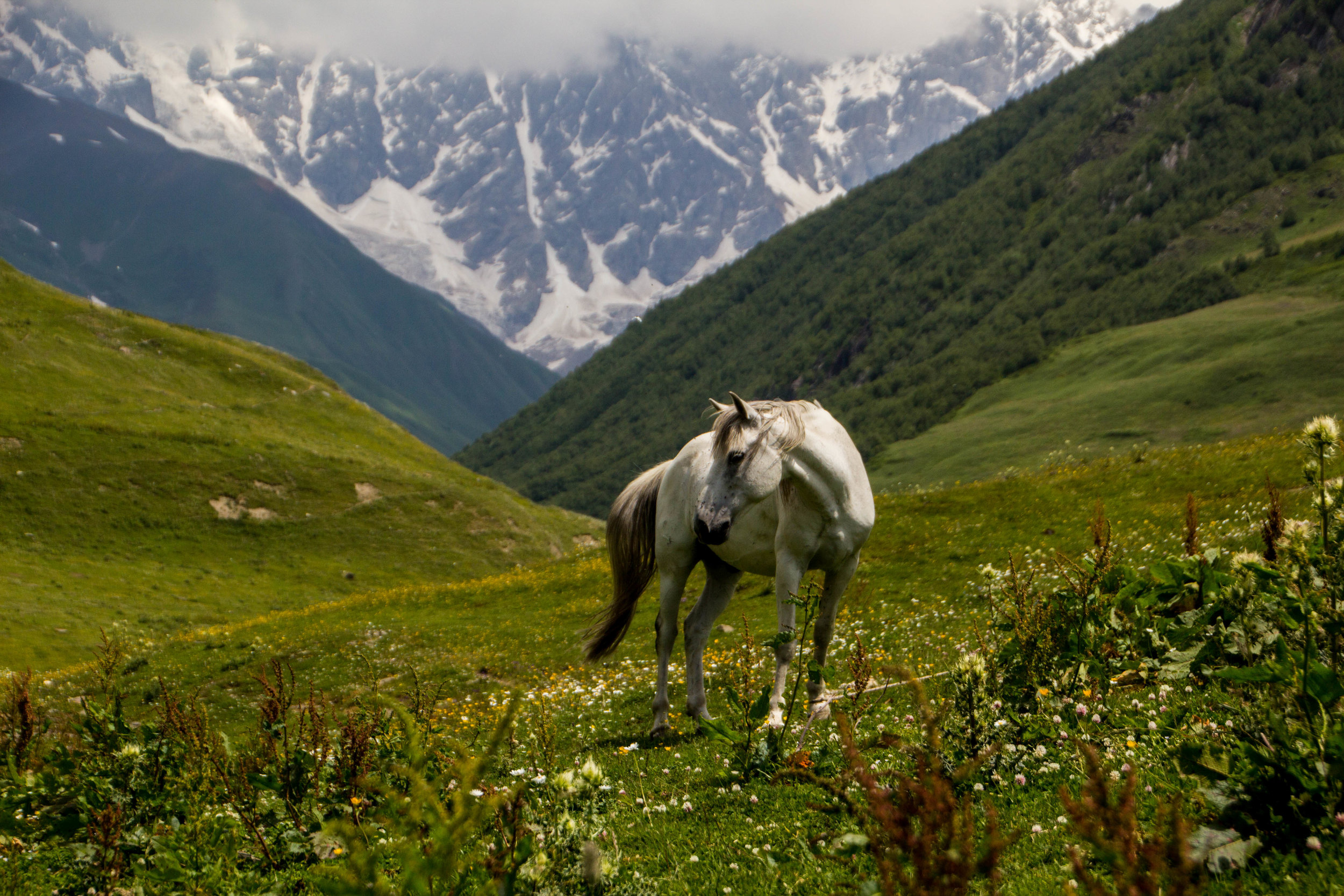 ushguli-svaneti-georgia-22.jpg