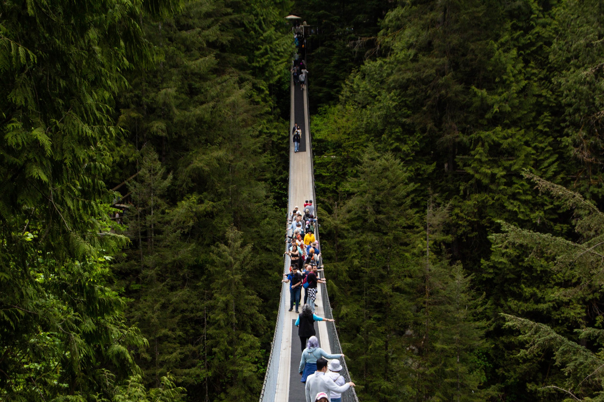 vancouver-capilano-suspension-bridge-park-15.jpg