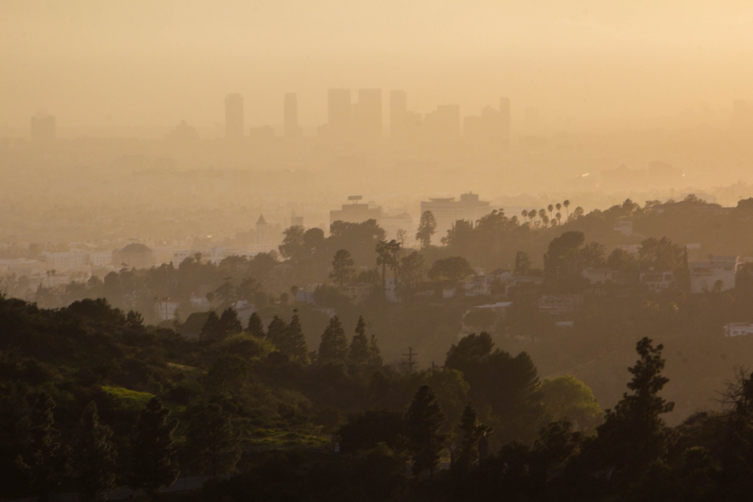 griffith-observatory-LA-8.jpg