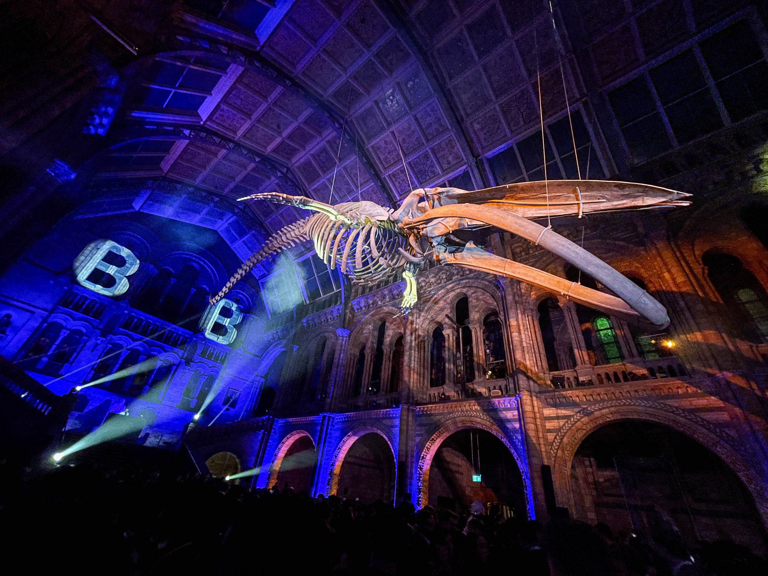 natural-history-musuem-clubbing-london-14.jpg